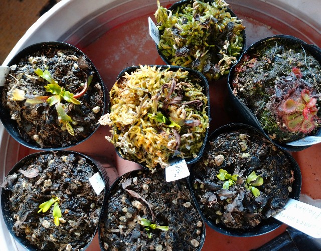 f:id:Takuchaman:20200201234530j:image f:id:Takuchaman:20200201234530j:image