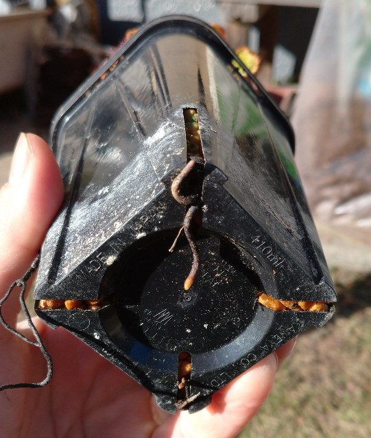 f:id:Takuchaman:20210111114805j:image