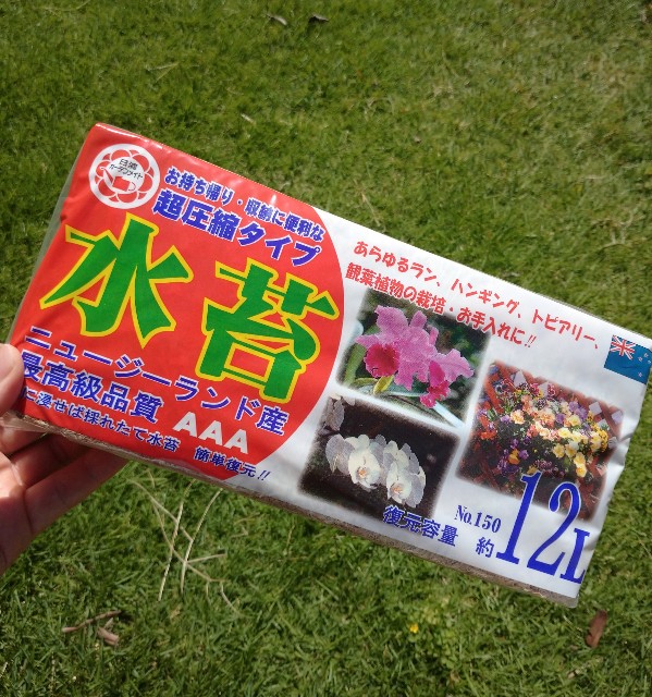 f:id:Takuchaman:20220628193004j:image