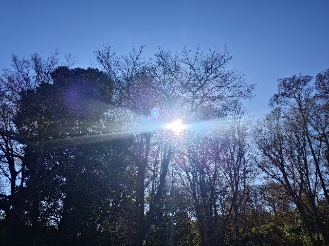 f:id:Takuchaman:20241222130653j:image