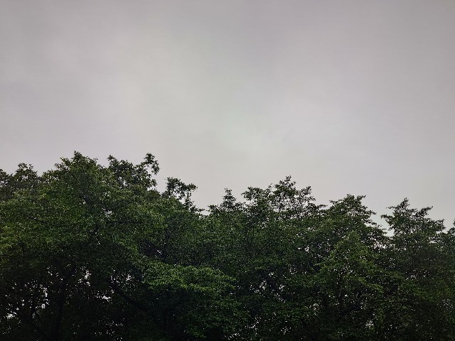 f:id:Takuchaman:20250616131137j:image