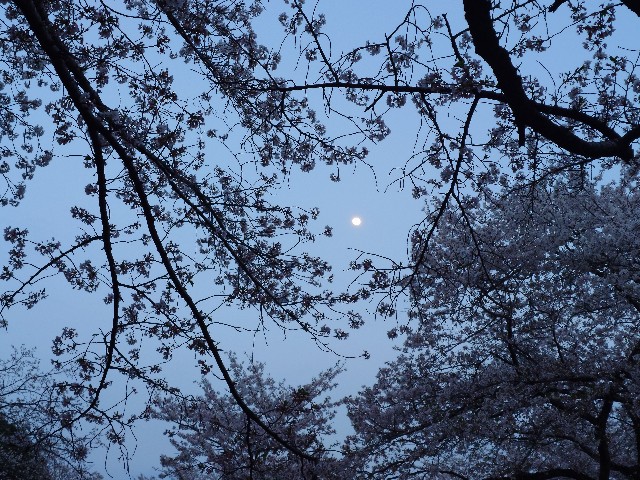 f:id:Takuchaman:20250626222617j:image