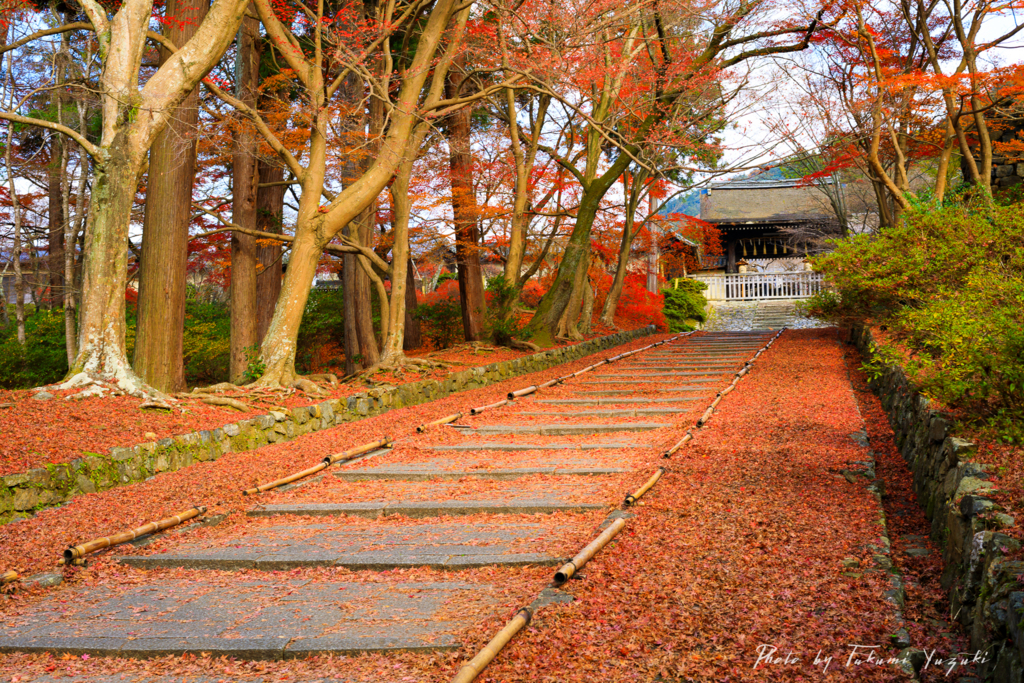 レンズな話 その2 Zeiss Planar T 1 4 50 Ze 旅メモ