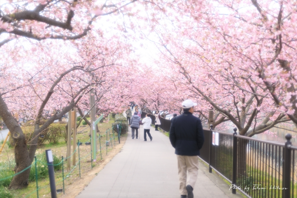 f:id:Takumi_0331:20180228210650j:plain