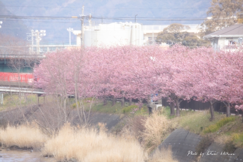 f:id:Takumi_0331:20180228210720j:plain