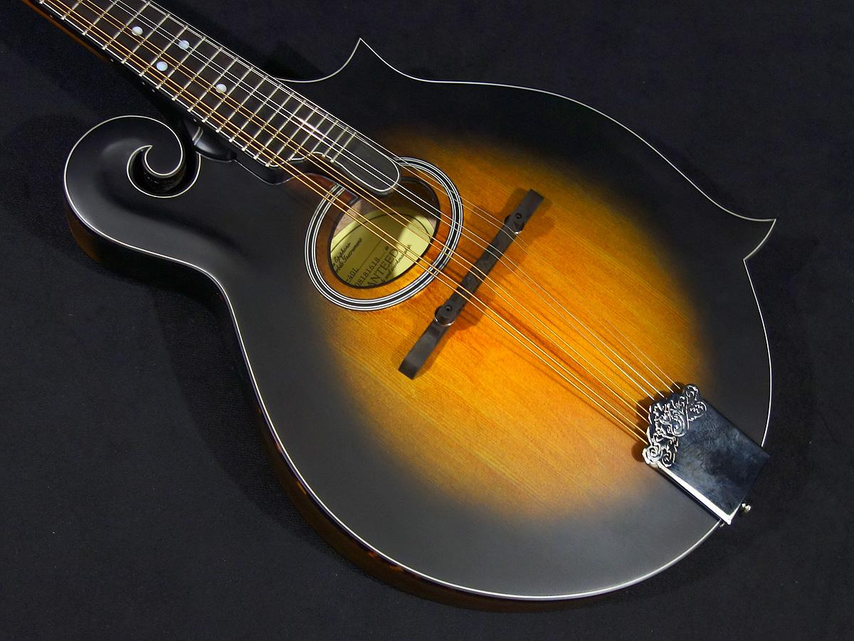 エピフォン、フラットマンドリン 楽天市場】Epiphone エピフォン マンドリン MM-30S フラットマンドリン