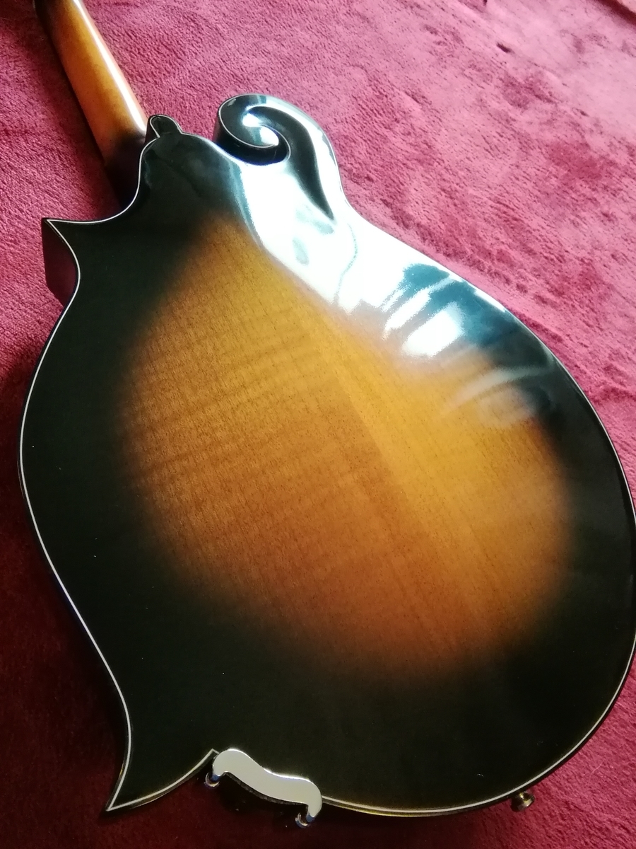 4 フラットマンドリン プチ改造♪ Epiphone MM-40L