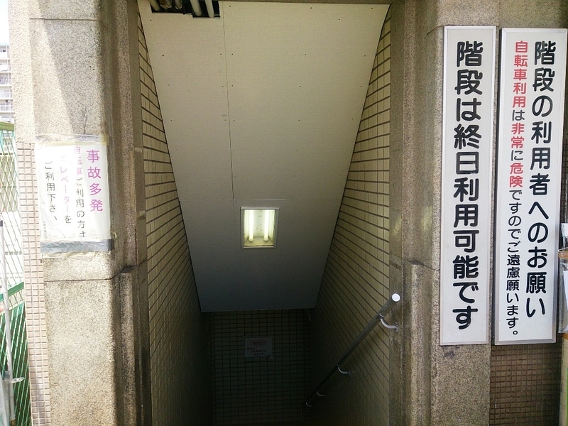 イメージ 8