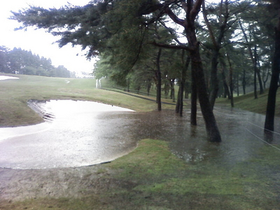 f:id:TamTam:20080503095441j:image