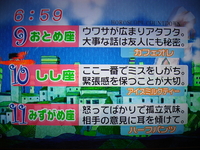 f:id:TamTam:20080630190034j:image