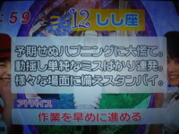 f:id:TamTam:20090327065945j:image