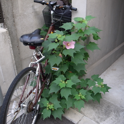 f:id:TamTam:20100921070136j:image