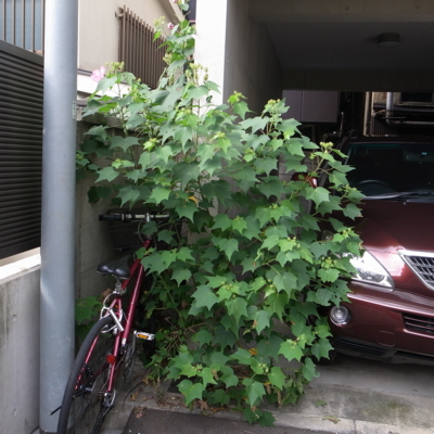 f:id:TamTam:20110911142435j:image