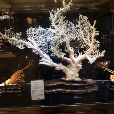 f:id:TamTam:20111210105028j:image