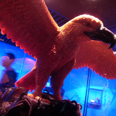 f:id:TamTam:20111210120817j:image