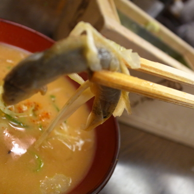 f:id:TamTam:20120413200745j:image