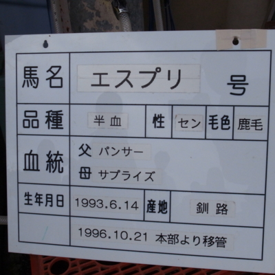 f:id:TamTam:20120603133432j:image