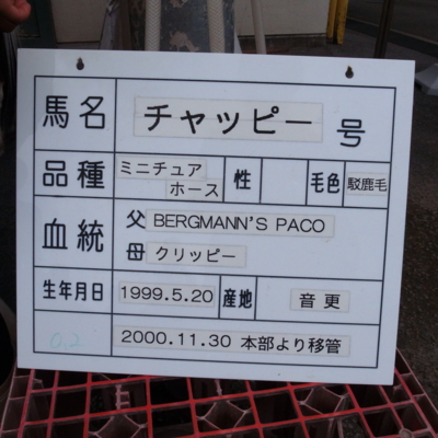 f:id:TamTam:20120603133446j:image