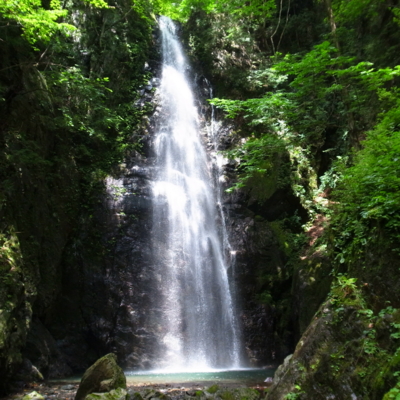 f:id:TamTam:20120812131555j:image