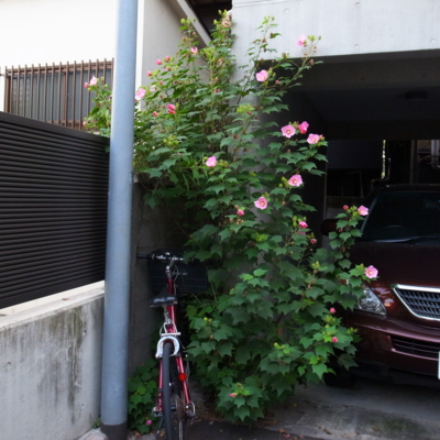 f:id:TamTam:20120927070253j:image