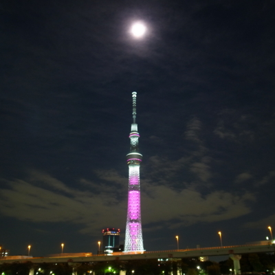 f:id:TamTam:20121001213952j:image