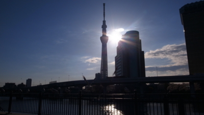 f:id:TamTam:20130326071404j:image