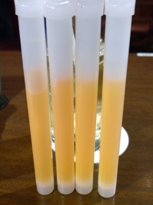 f:id:TamTam:20161228190219j:image