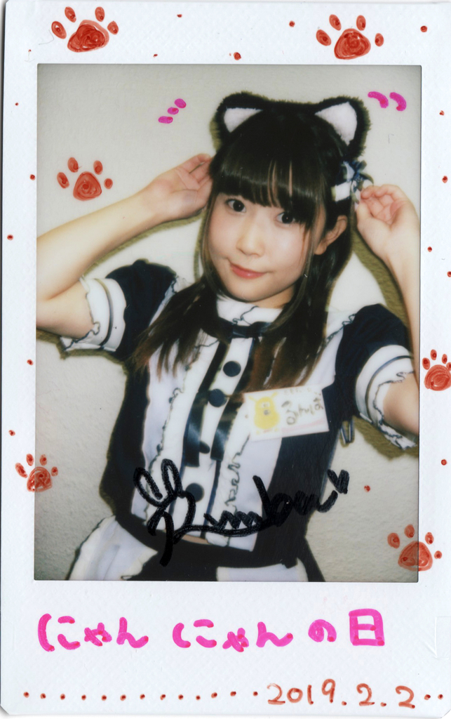 f:id:TamTam:20190202224836j:plain f:id:TamTam:20190202224836j:plain
