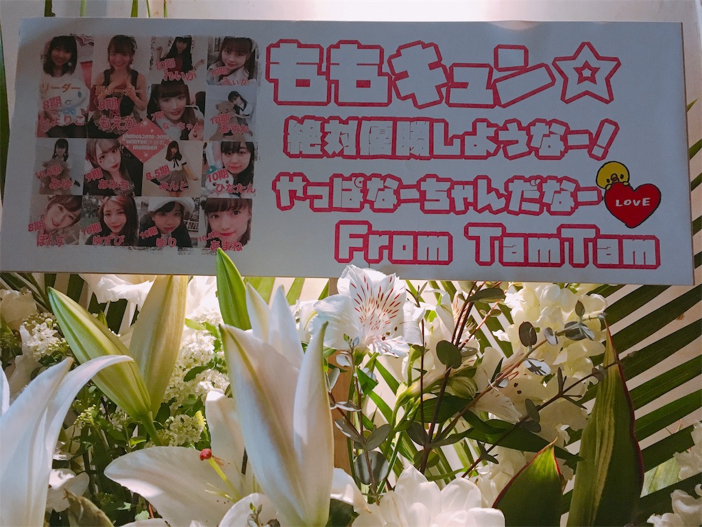 f:id:TamTam:20190216164203j:plain