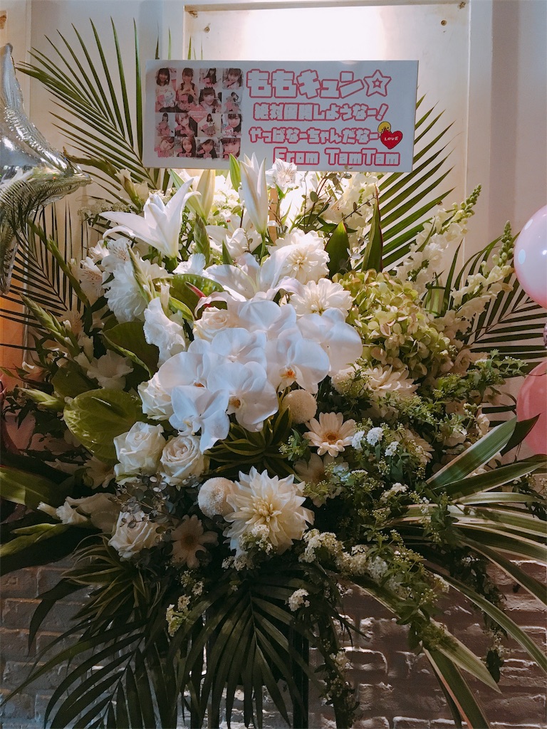 f:id:TamTam:20190216164211j:plain
