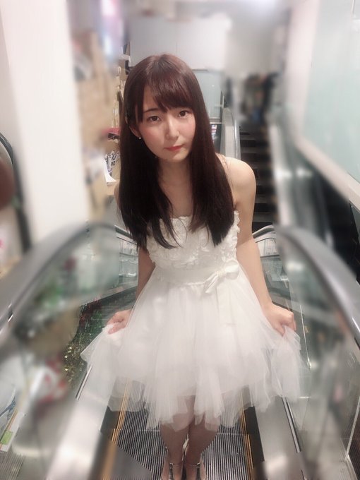 f:id:TamTam:20190824053616j:plain f:id:TamTam:20190824053616j:plain