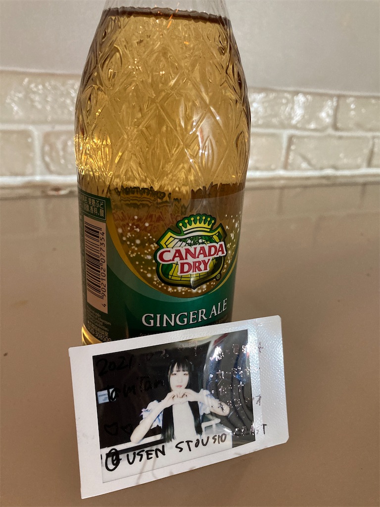 f:id:TamTam:20210207221728j:plain