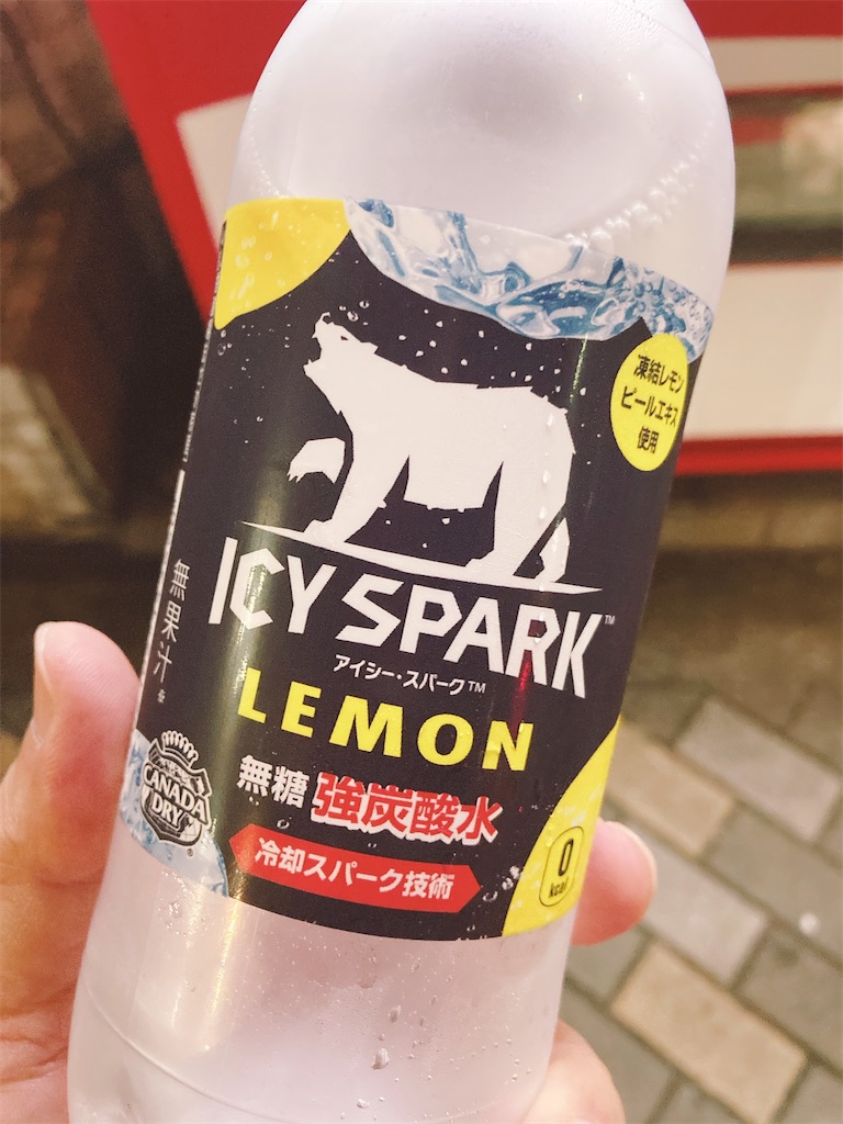 f:id:TamTam:20210617232556j:plain