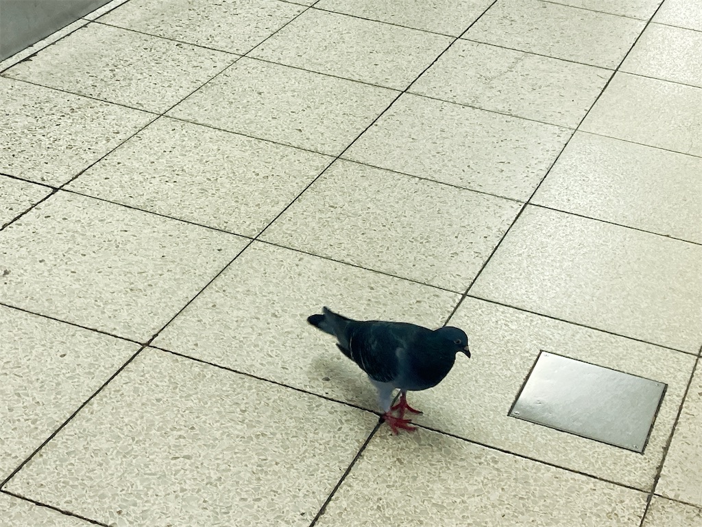 f:id:TamTam:20210821225258j:plain