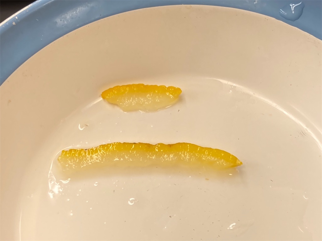 f:id:TamTam:20220101225354j:plain