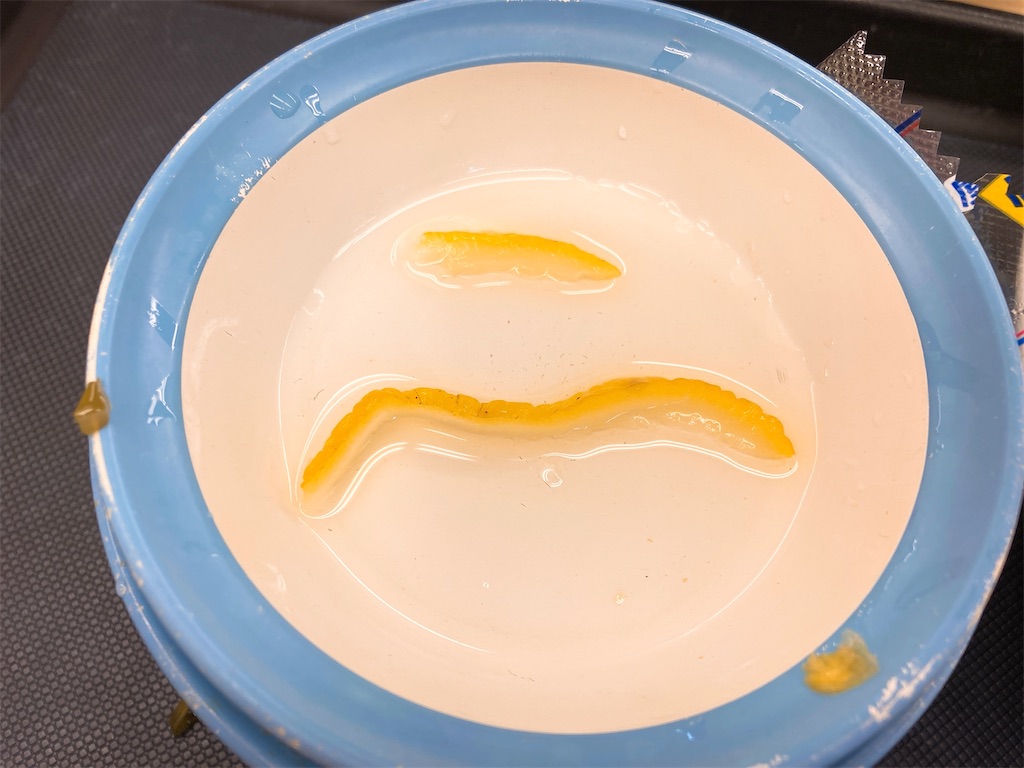 f:id:TamTam:20220213164227j:plain