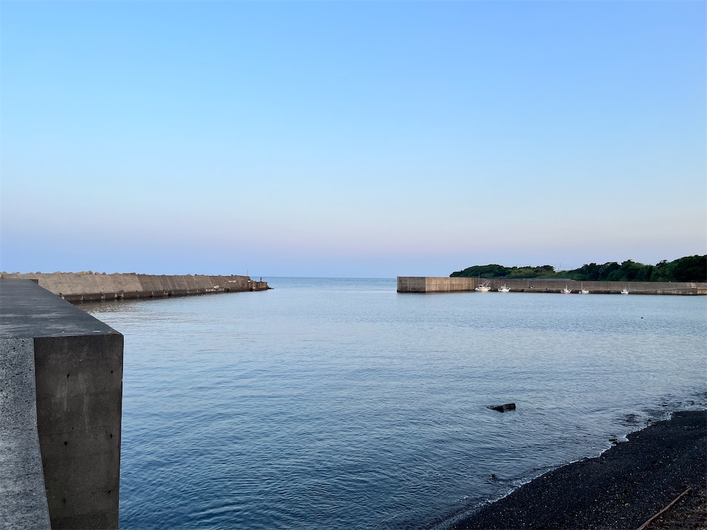 夜釣り最強餌で和歌山に挑んだ結果 和歌山県 下楠井漁港 多摩の徒れ釣れなる日記