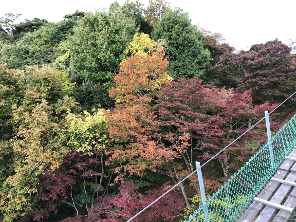 f:id:Tama2018:20200209155905j:plain f:id:Tama2018:20200209155905j:plain