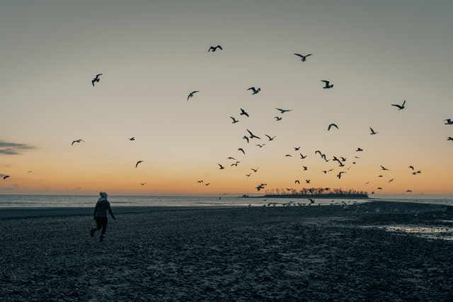 f:id:TamaBlog:20210715214719j:plain