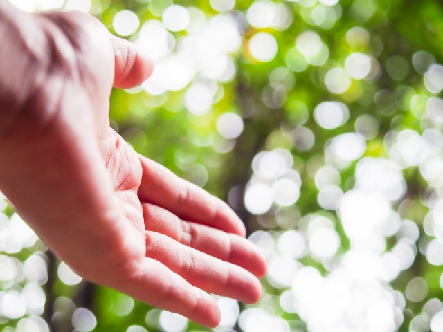 f:id:TamaBlog:20211203041726j:plain