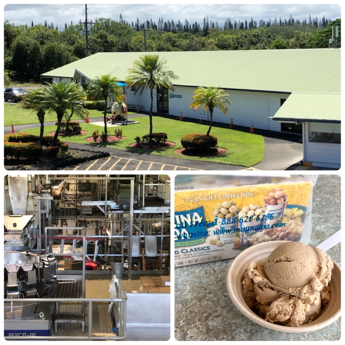 マウナロア マカダミアナッツ農園＆工場 Big Island ハワイ島で昼寝