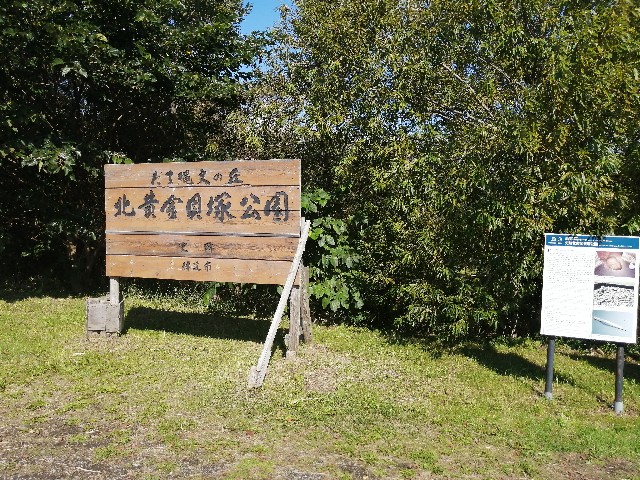 f:id:Tamarun:20211017202417j:image