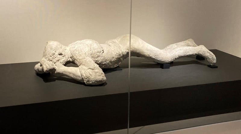 POMPEI 特別展　ポンペイ 特別展「ポンペイ」 Special Exhibition POMPEII
