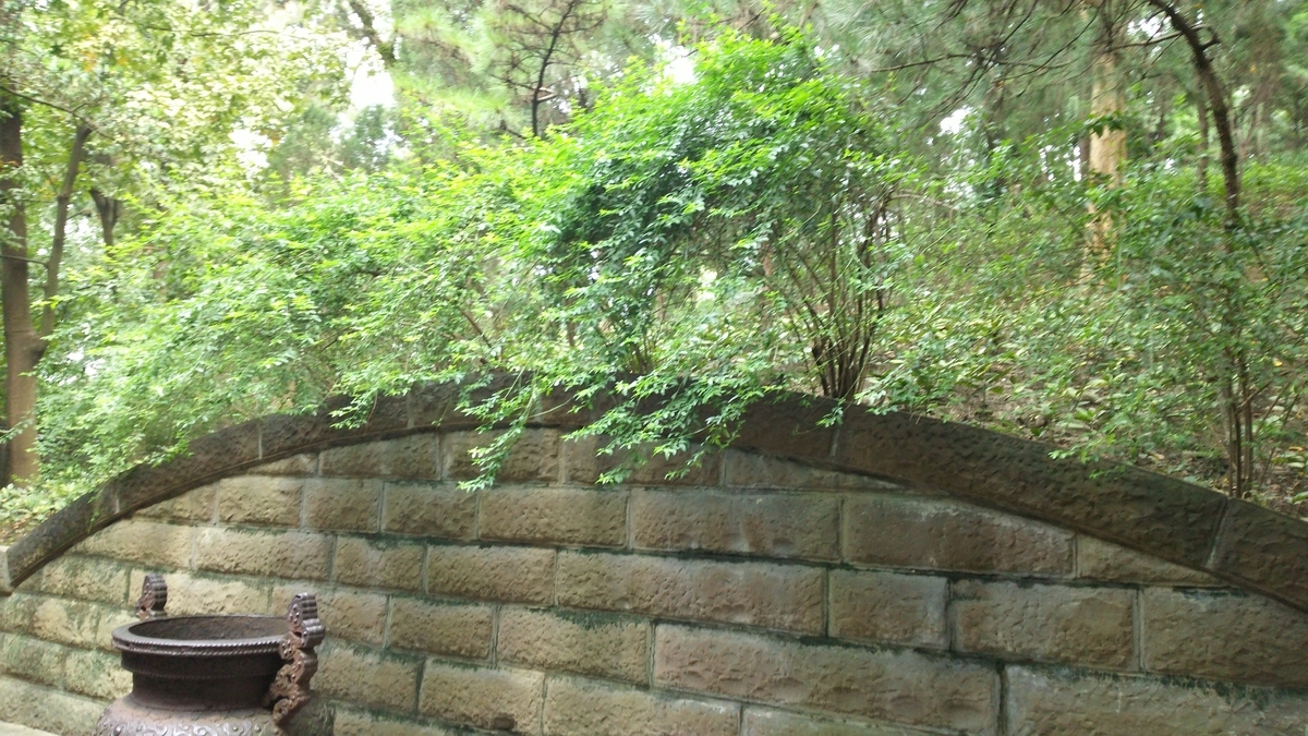 f:id:TangDoufu:20200123002040j:plain