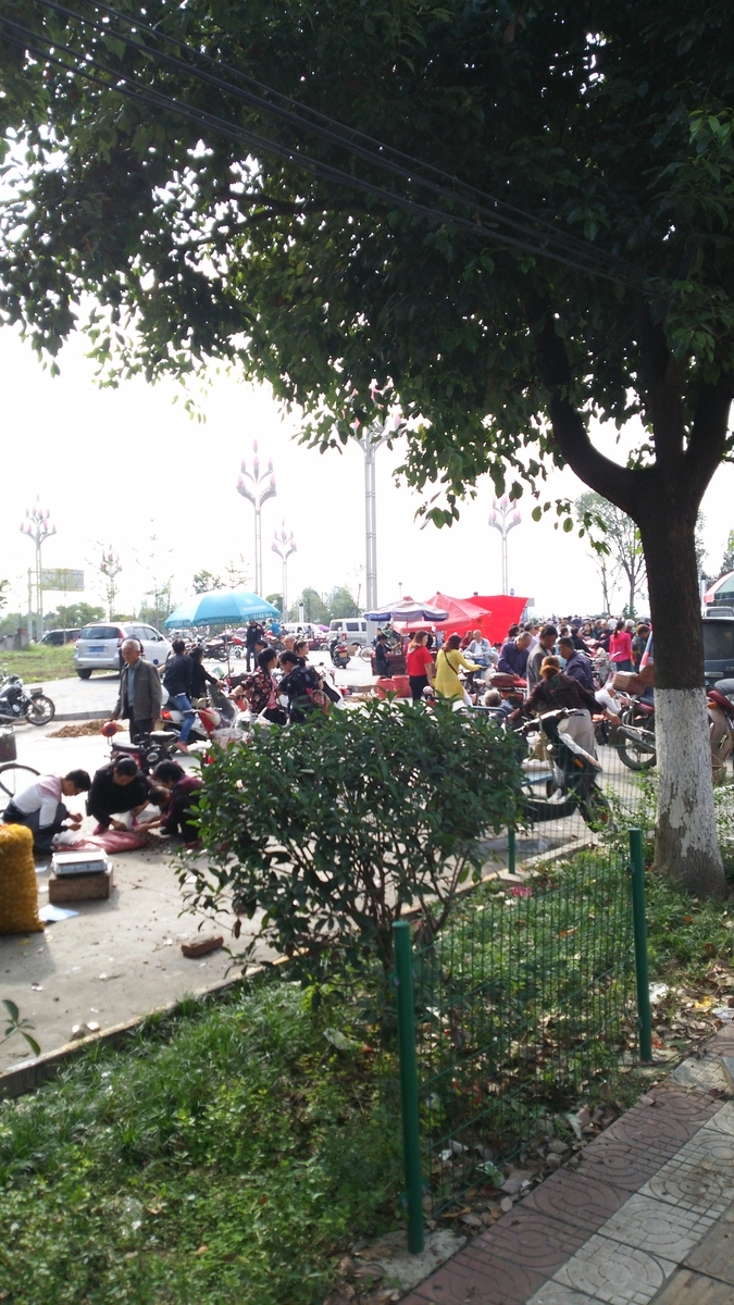 f:id:TangDoufu:20200206001950j:plain