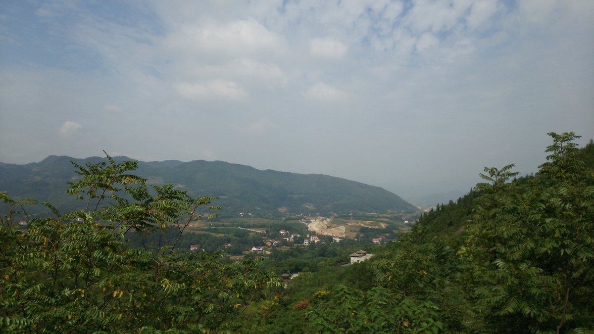 f:id:TangDoufu:20200206004049j:plain
