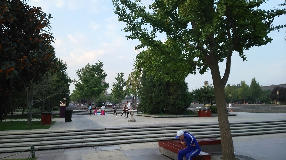 f:id:TangDoufu:20200330165829j:plain
