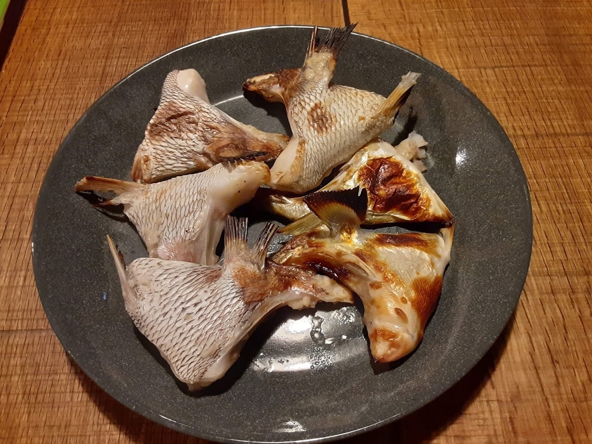 f:id:Tanpoposou:20210521231813j:plain