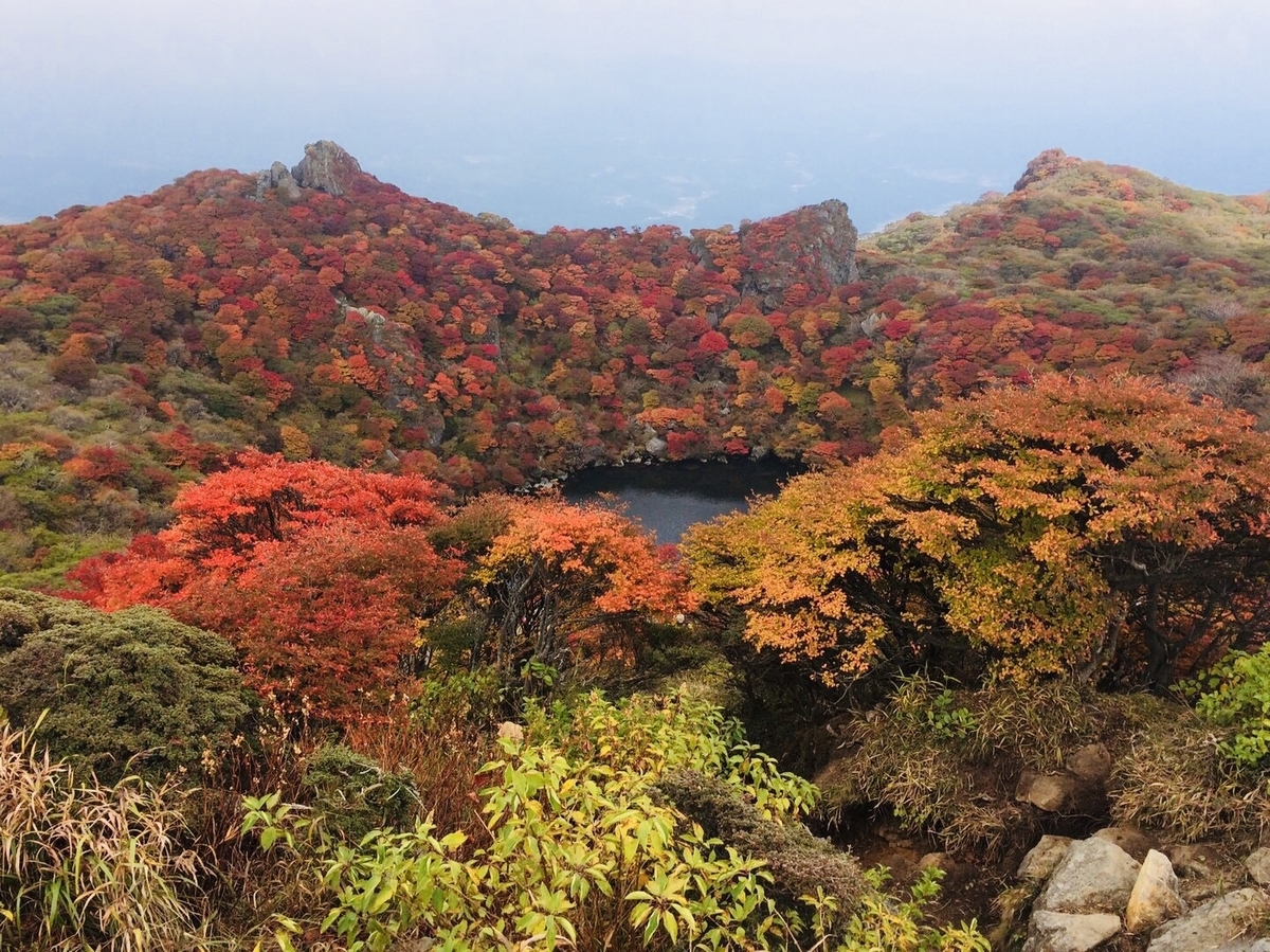 f:id:Tansaibo:20190927204642j:plain
