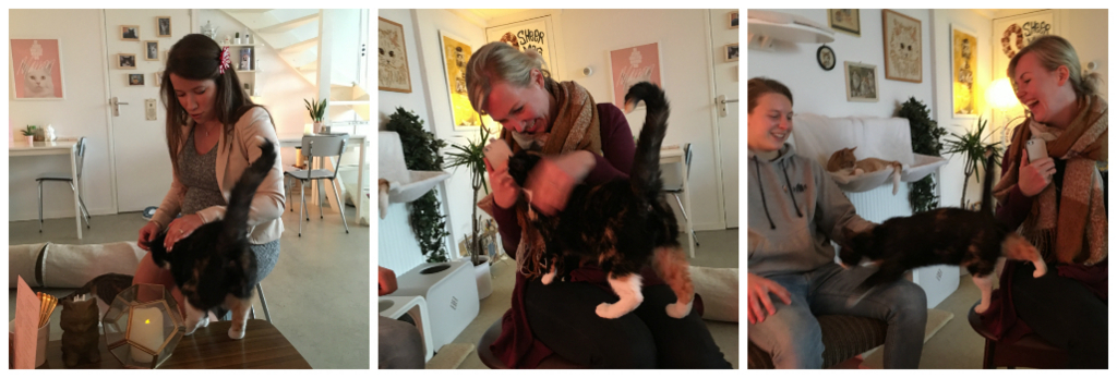 f:id:Tanu_LPT:20171118183739j:plain